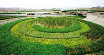 烏海綠韻 多項園林綠化工程即將全面實施錨定城市生態新格局