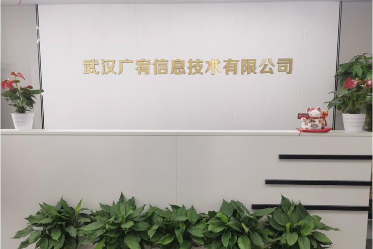 柳俊雄,公司經營范圍包括:信息技術咨詢服務;信息系統集成